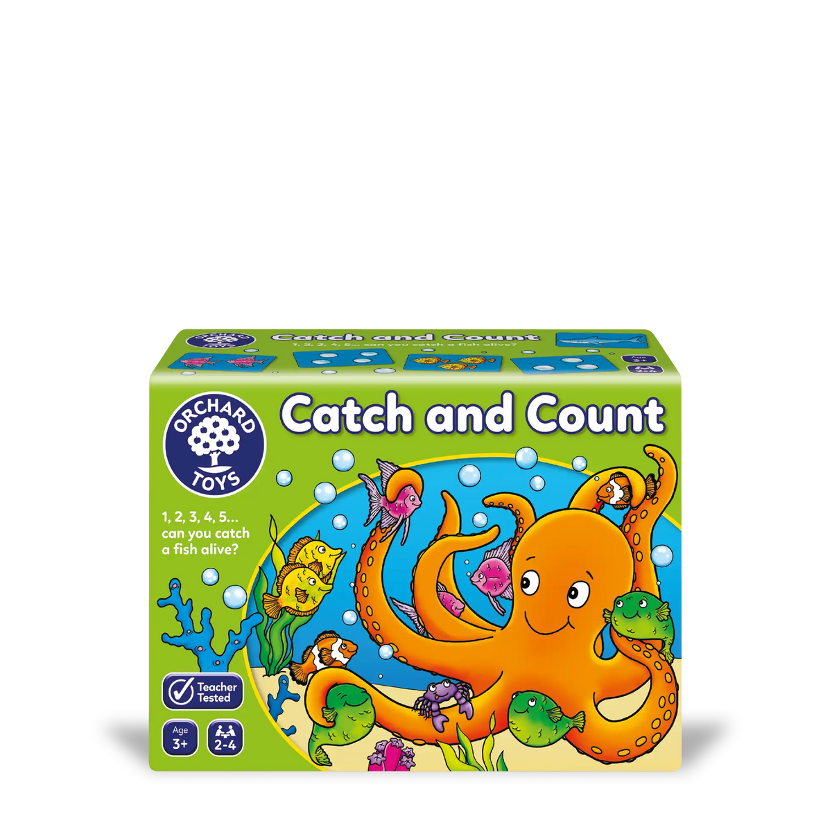 Catch & Count